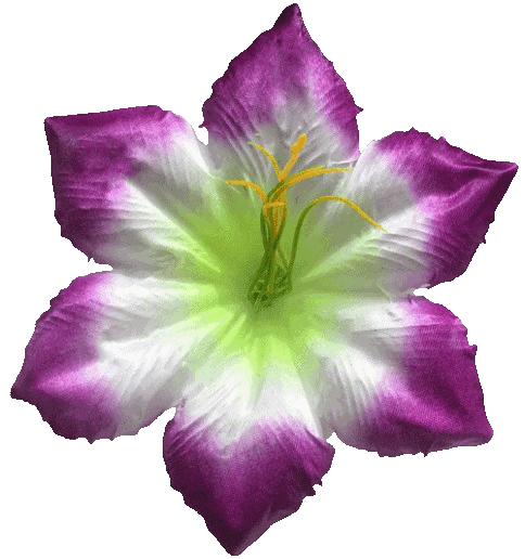 Головки квітів Пресс №7 Головки квітів Пресс №7