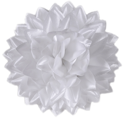 Головки квітів Георгінія Головки квітів Георгінія