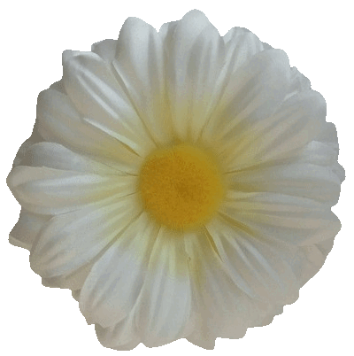 Головки квітів Гербера G2 Головки квітів Гербера G2