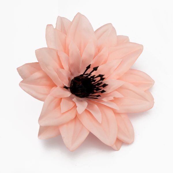 Головки квітів Крокус 05 Головки квітів Крокус 05