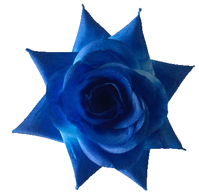 Головки квітів Троянда R7 Головки квітів Троянда R7