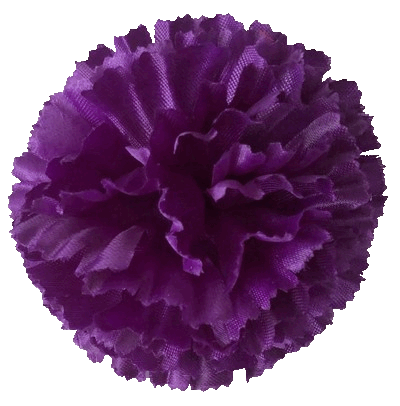 Головки квітів Гвоздика 05 Головки квітів Гвоздика 05