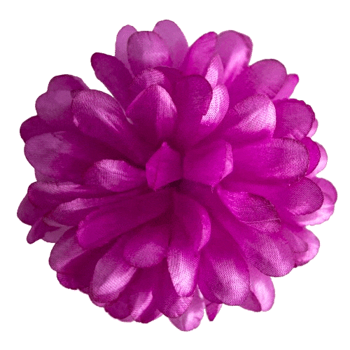 Головки квітів Півонія Головки квітів Півонія