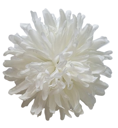 Головки квітів Хризантема 02 Головки квітів Хризантема 02