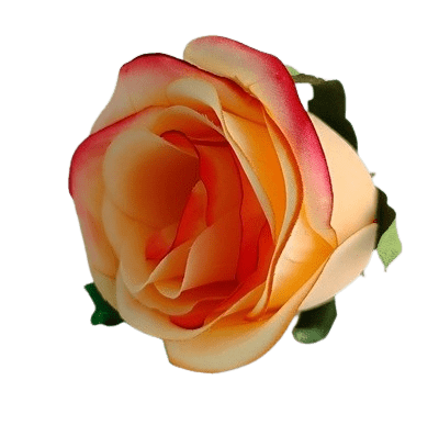 Квіти для декору Троянда Квіти для декору Троянда