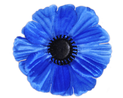 Головки квітів Волошка