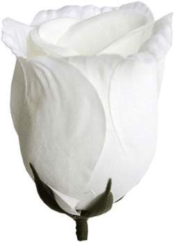 Головки квітів Бутон Троянди 02