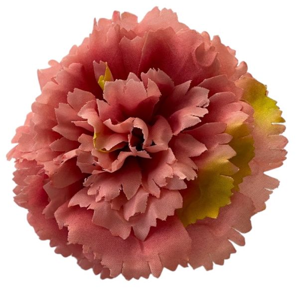 Головки квітів Гвоздика 04 Головки квітів Гвоздика 04