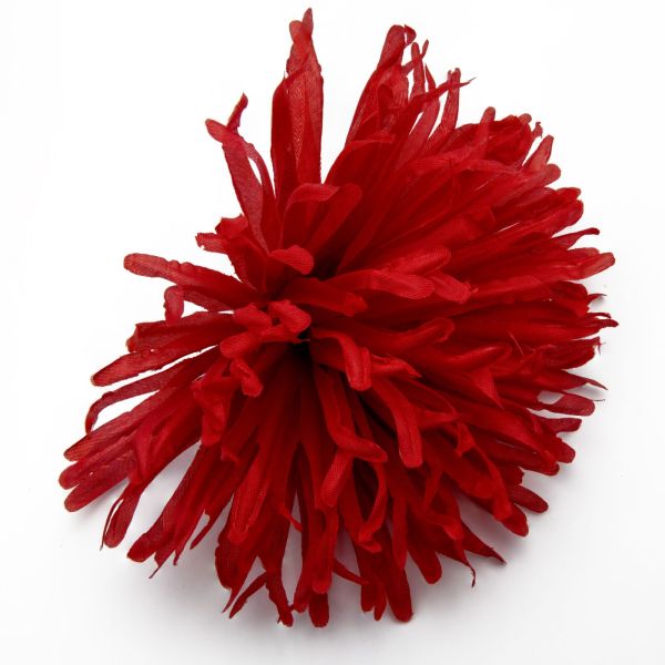 Головки квітів Жоржина