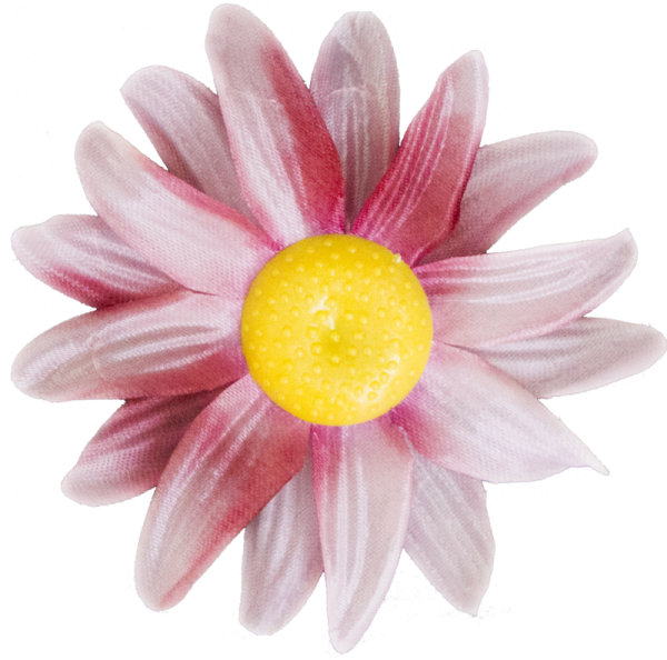 Голови квітів Ромашка G10