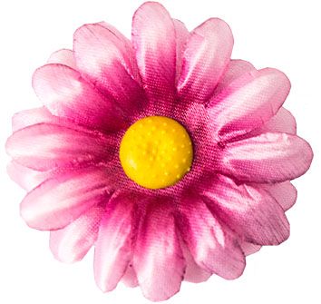 Головки квітів Ромашка Маленька G6 Головки квітів Ромашка Маленька G6