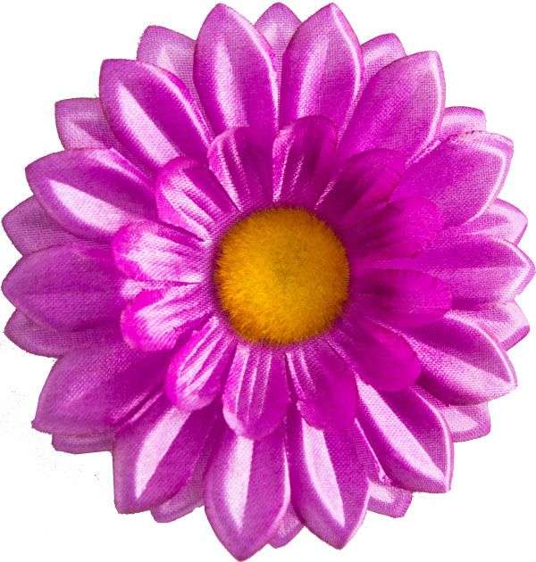 Головки квітів Ромашка G7 Головки квітів Ромашка G7