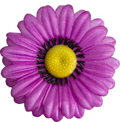 Головки квітів Гербера G4 Атлас Головки квітів Гербера G4 Атлас