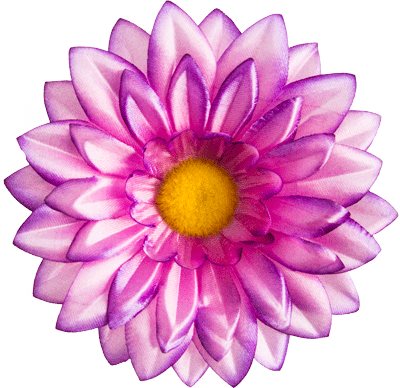 Головки квітів Ромашка G8 Головки квітів Ромашка G8