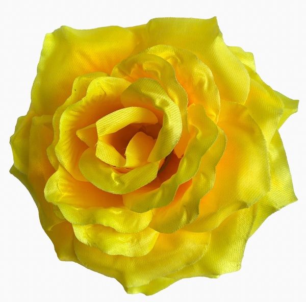 Головки квітів Троянда R6 Головки квітів Троянда R6