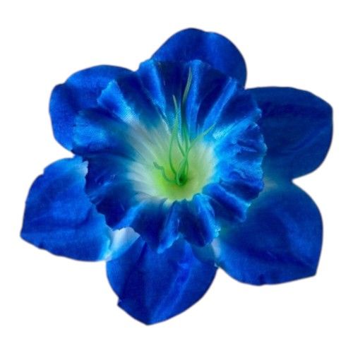 Головки квітів Нарцис 02