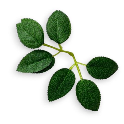 Листя троянди 6 листочків