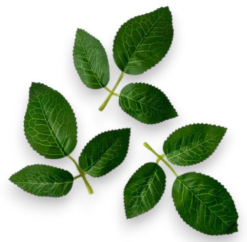 Листя троянди 3 листочки