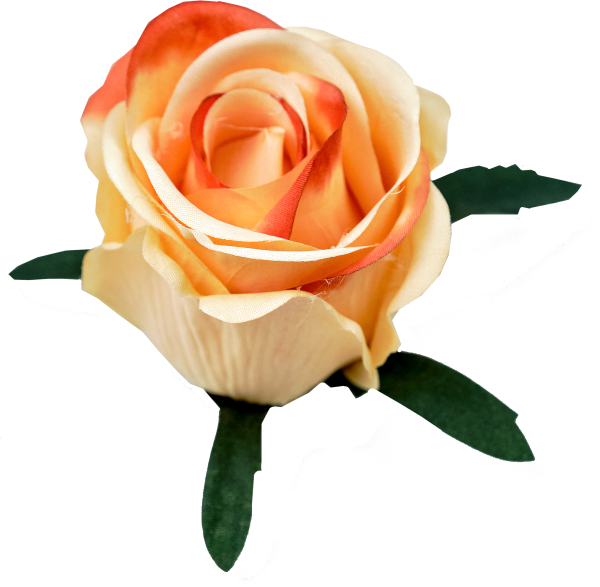 Голівки, бутони Троянда B2 Голівки, бутони Троянда B2