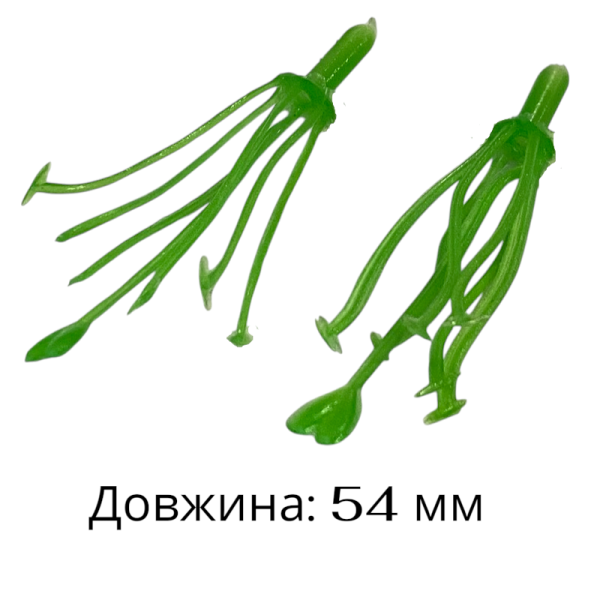 Тичинка мала  023 Тичинка мала  023