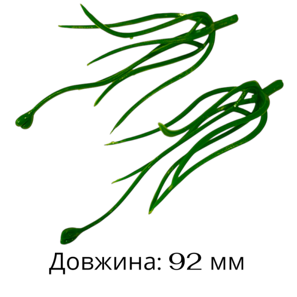 Тичинка Лілія Тичинка Лілія