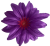К232