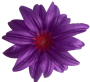 Фиолетовый К232