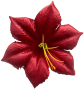 Бордо К142