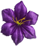 Фиолетовый К232