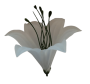 Белая К100