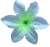К101