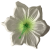 До 101