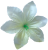 К120