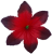К141