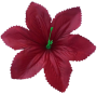 Бордо К142