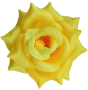 К162