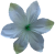 К204