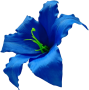 Синяя К227