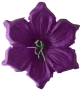 Фиолетовый К232