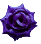 К232