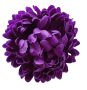 Фиолетовая К232