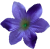 К238