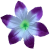 К243