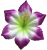 К243