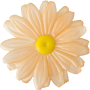 Персиковая K111