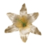 Персиковая K111