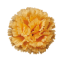 Персиковая K111