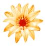 Персиковый K111