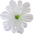 К100