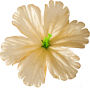 Персиковий K111